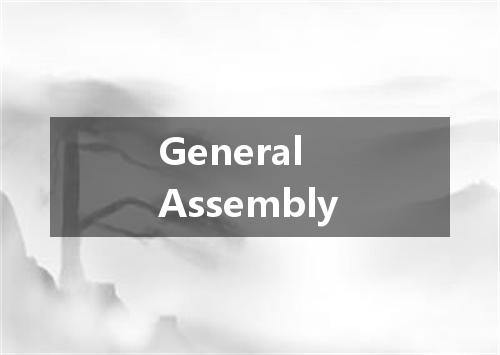 General Assembly是什么意思