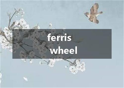 ferris wheel是什么意思