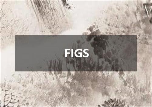 FIGS是什么意思