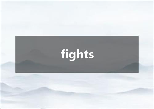 fights是什么意思