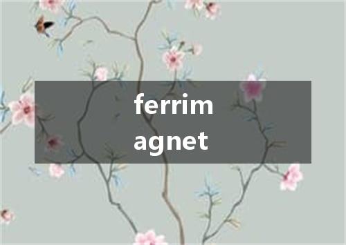 ferrimagnet是什么意思