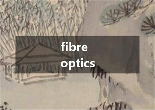 fibre optics是什么意思