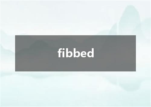 fibbed是什么意思