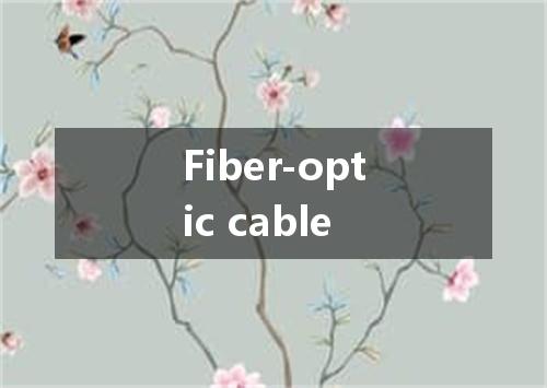 Fiber-optic cable是什么意思
