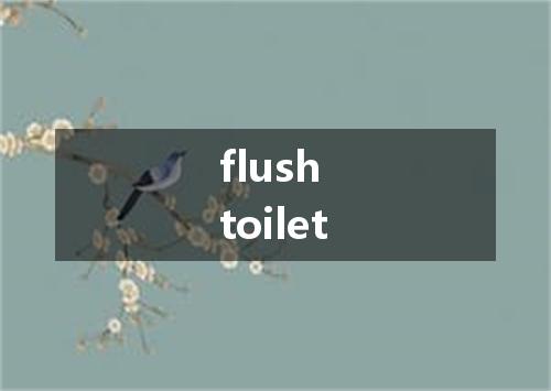 flush toilet是什么意思