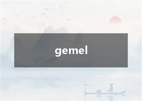 gemel是什么意思