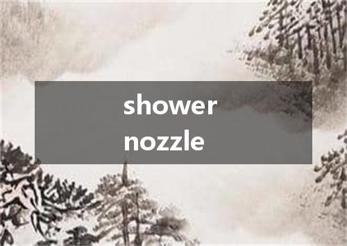 shower nozzle是什么意思