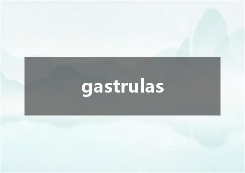 gastrulas是什么意思