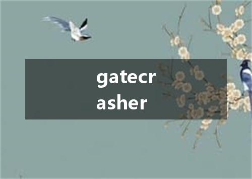 gatecrasher是什么意思