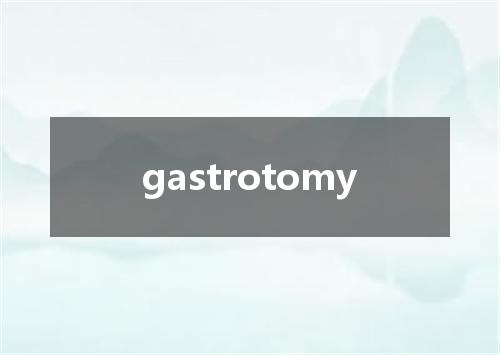 gastrotomy是什么意思