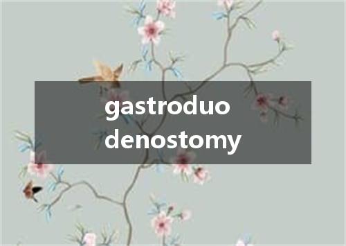gastroduodenostomy是什么意思