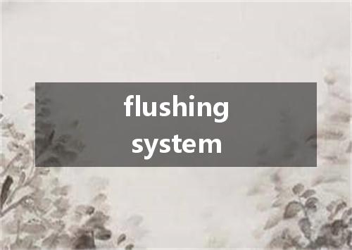flushing system是什么意思