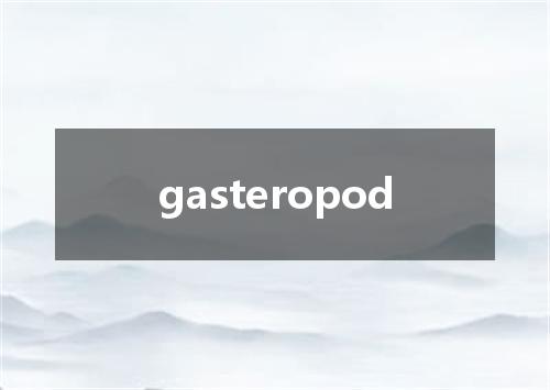 gasteropod是什么意思