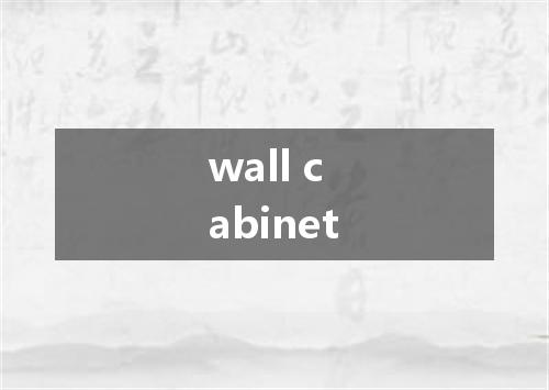 wall cabinet是什么意思