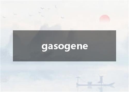 gasogene是什么意思