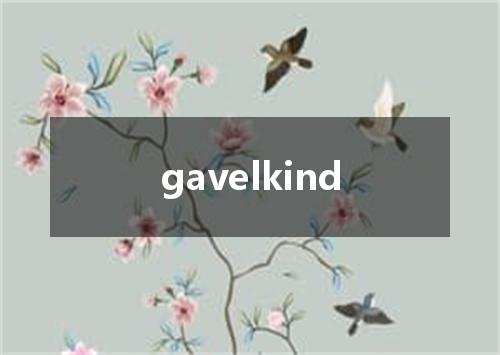 gavelkind是什么意思