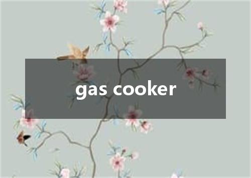gas cooker是什么意思