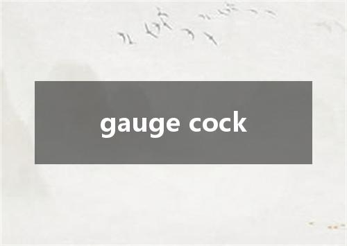 gauge cock是什么意思