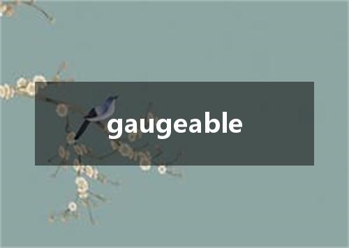 gaugeable是什么意思