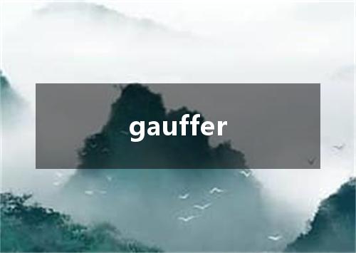 gauffer是什么意思