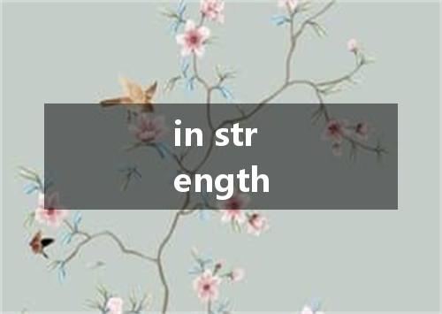 in strength是什么意思