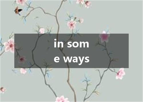 in some ways是什么意思