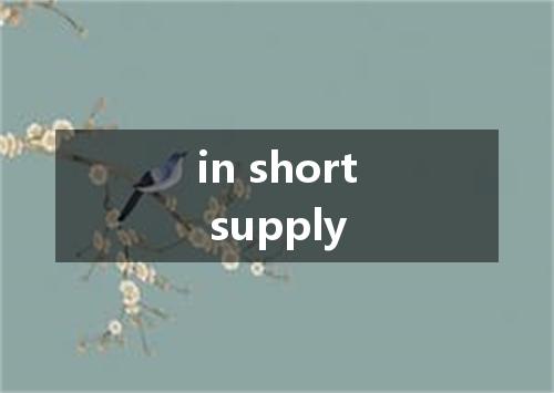 in short supply是什么意思