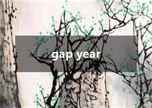 gap year是什么意思