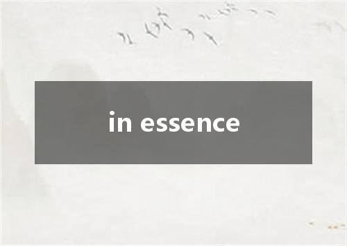 in essence是什么意思