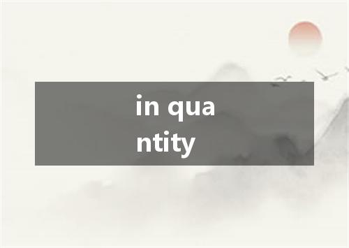 in quantity是什么意思