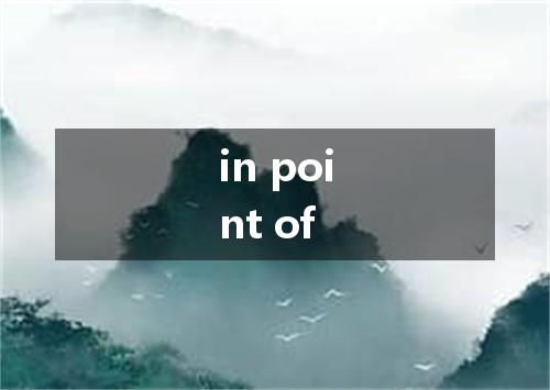 in point of是什么意思