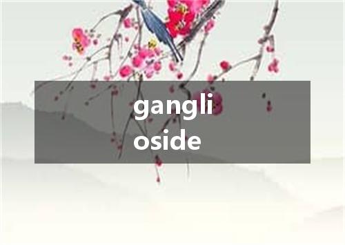 ganglioside是什么意思