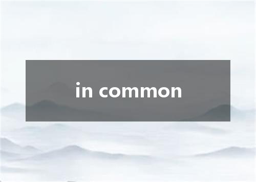 in common是什么意思