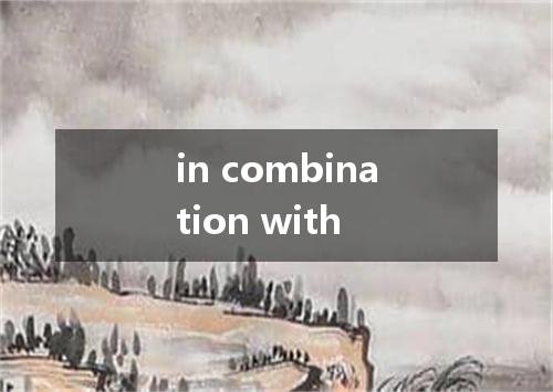 in combination with是什么意思