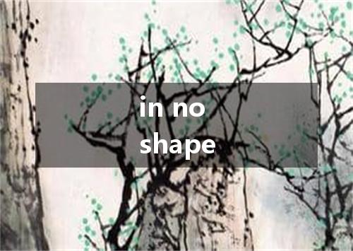 in no shape是什么意思