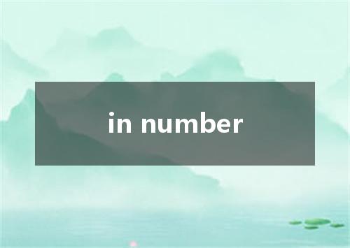 in number是什么意思