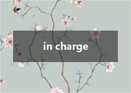 in charge是什么意思