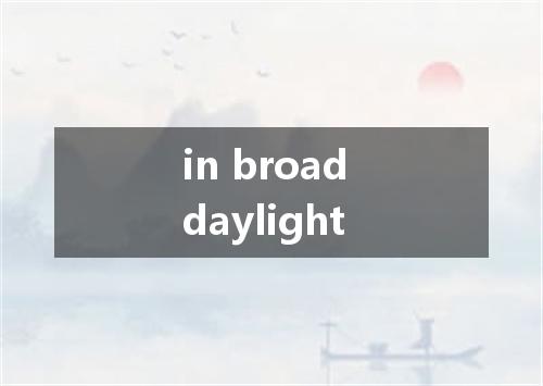 in broad daylight是什么意思