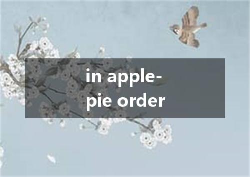 in apple-pie order是什么意思