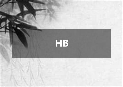 HB是什么意思