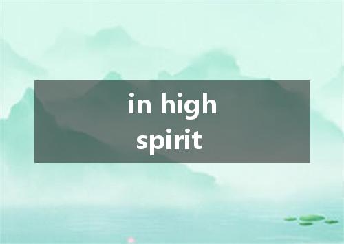 in high spirit是什么意思