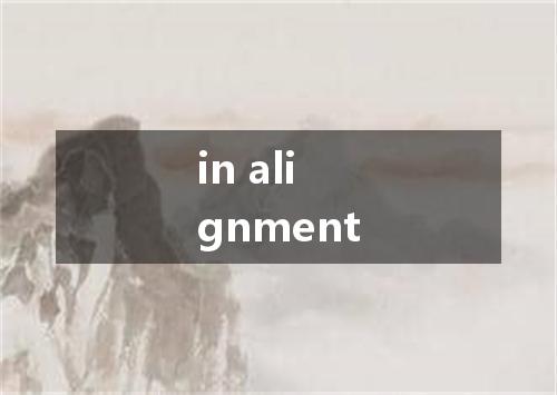 in alignment是什么意思
