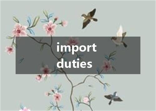 import duties是什么意思
