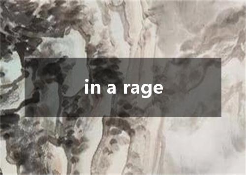 in a rage是什么意思