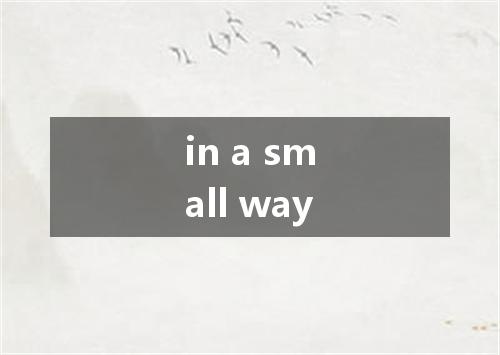 in a small way是什么意思
