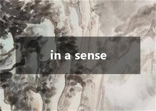 in a sense是什么意思