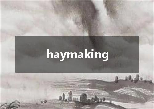 haymaking是什么意思