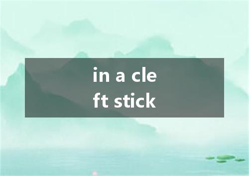 in a cleft stick是什么意思