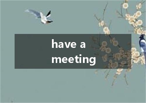 have a meeting是什么意思