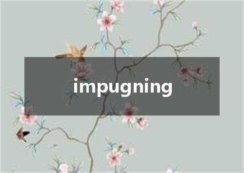impugning是什么意思